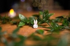 Sevimli Tavşan ve Panda (5li Paket)