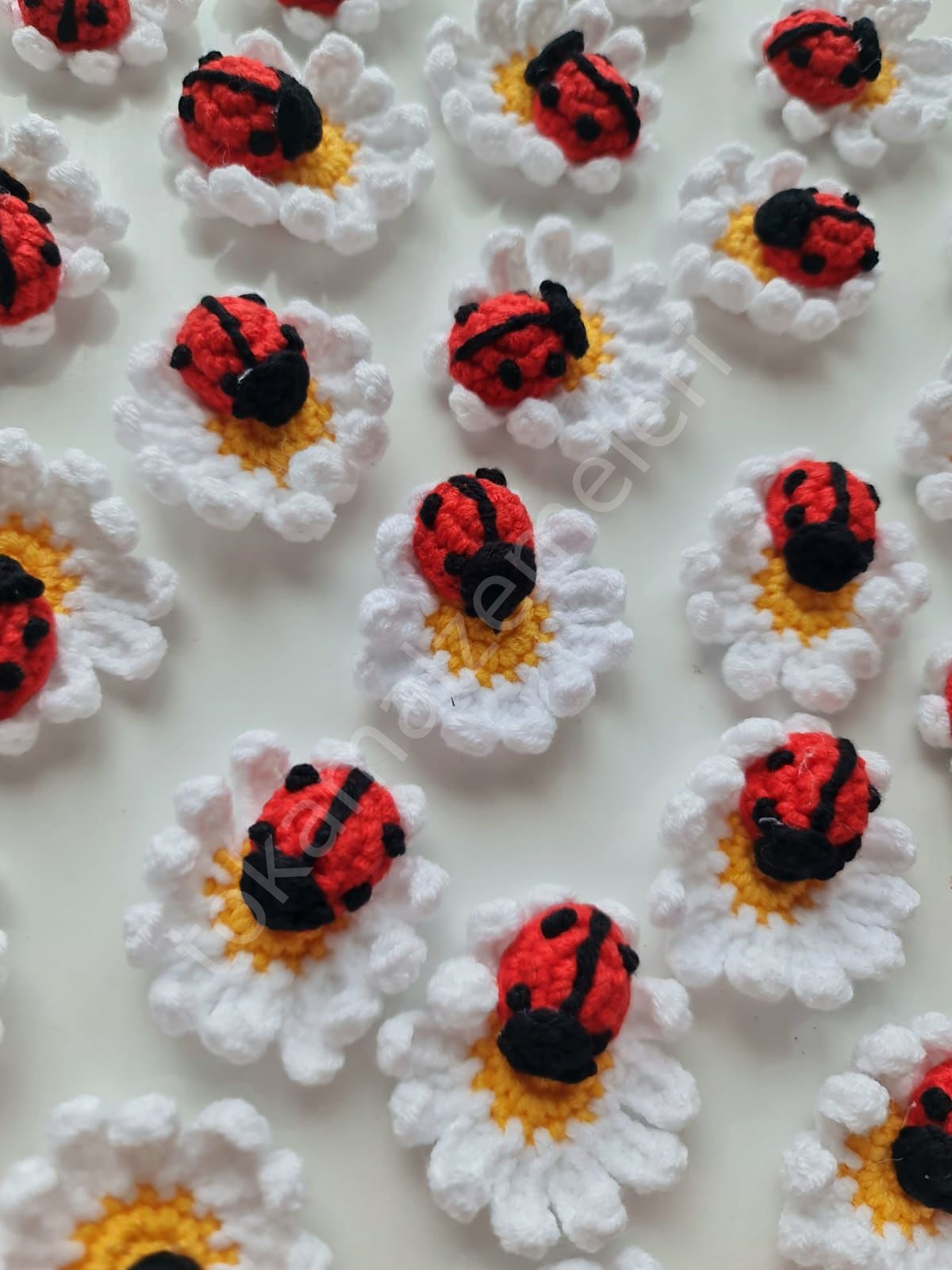 Uğur Böcekli Çiçekler