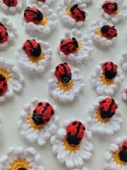 Uğur Böcekli Çiçekler