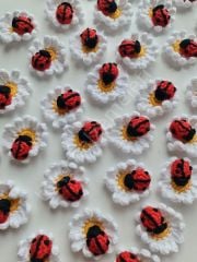 Uğur Böcekli Çiçekler