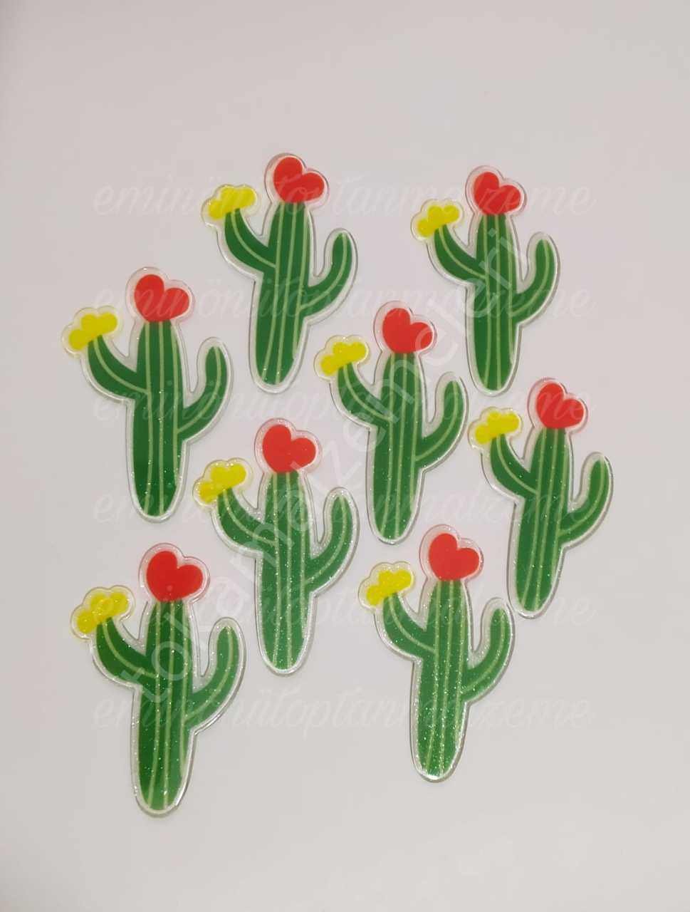 Büyük Boy Simli Kaktüs