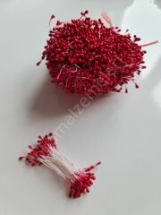Kırmızı Tohum