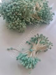 Özel üretim dokulu tohum