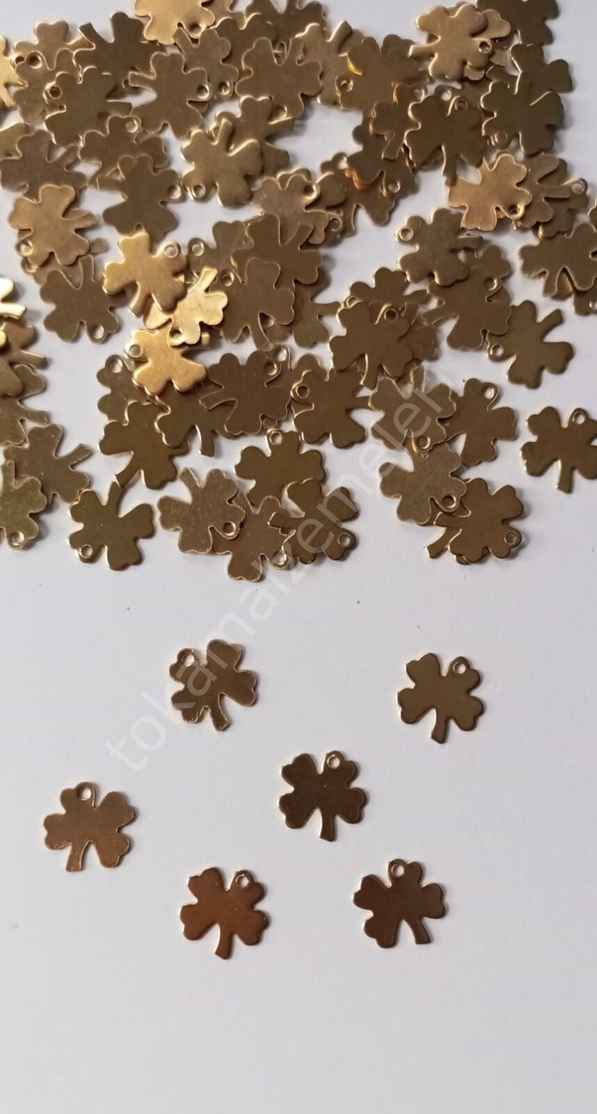 Delikli Yonga Pul Altın 25li