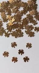 Delikli Yonga Pul Altın 25li